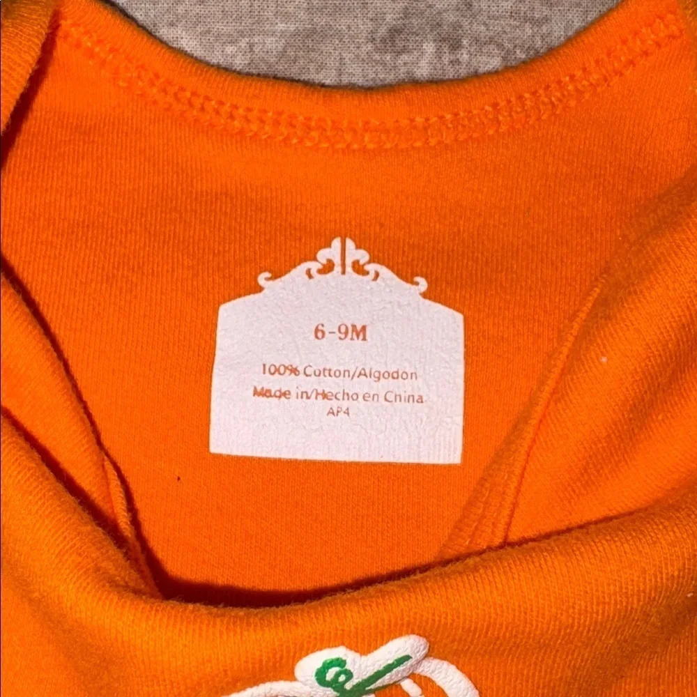 N/A celebrate pumpkin baby